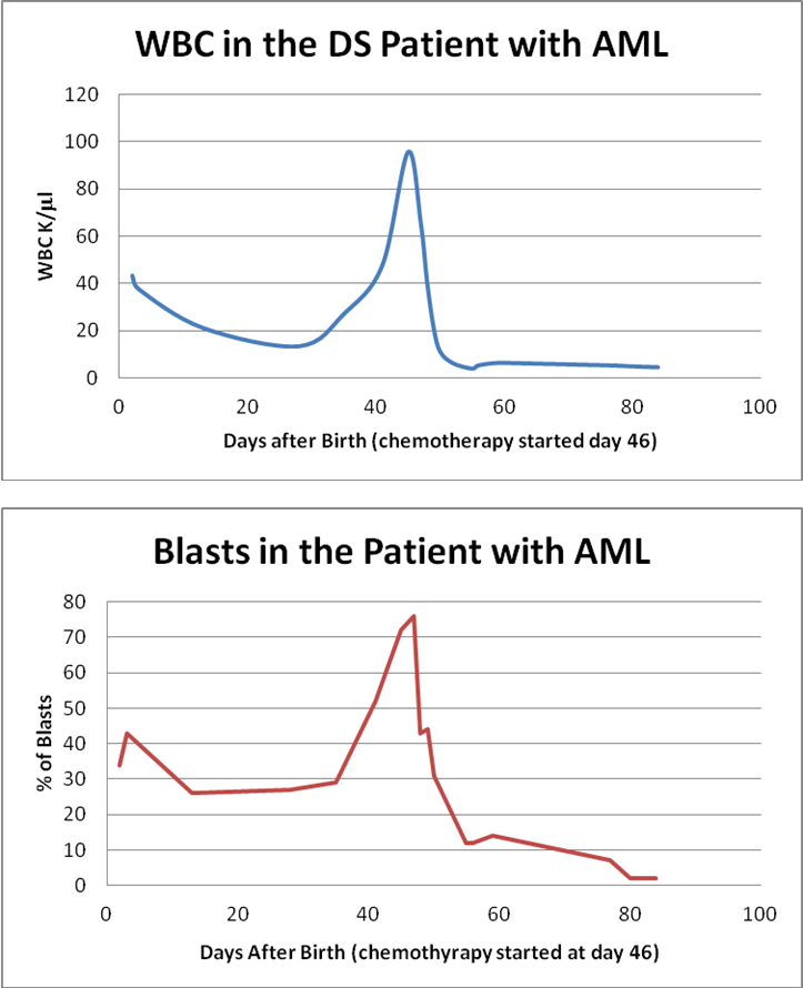 Figure 1. The WBC and percentage of blasts in the DS patient with AML